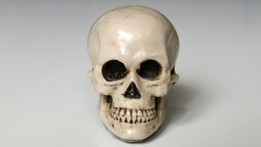 why_would_the_elite_create_a_zombie_virus-why_would_they_kill_us_off