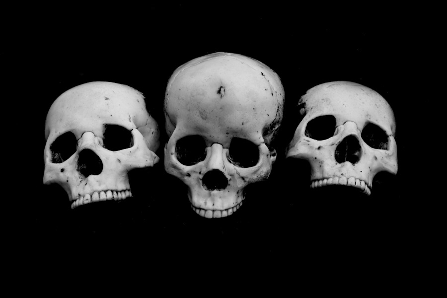 will_ebola_wipe_us_out-will_it_kill_us_all